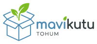 MaviKutu